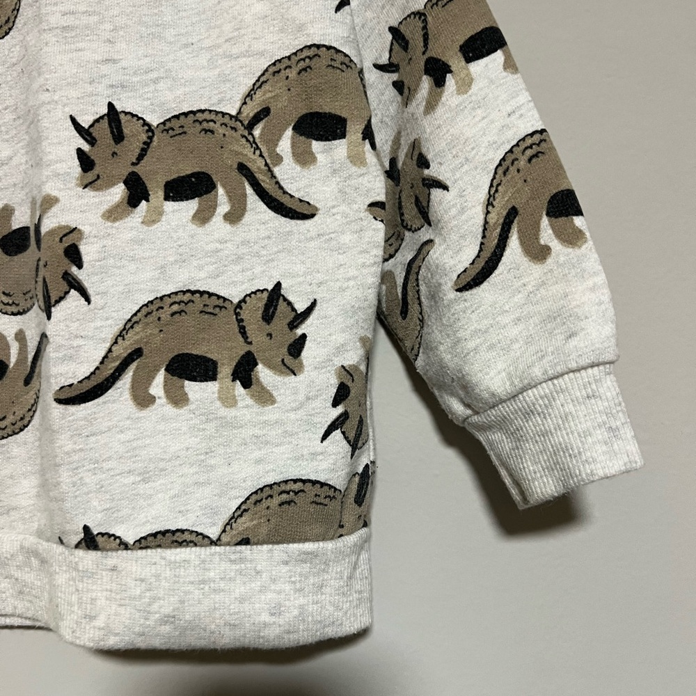 Carter's Size 18 Months Gray Brown Dinosaur Pull Over Long Sleeve Sweatshirt - Picture 7 of 7